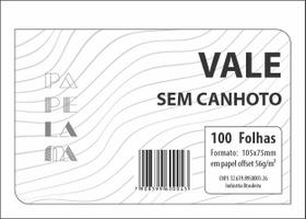 Vale s/canhoto c/100fls - c/20 blocos - PAPELAMA