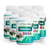 VALERIANA - 500mg (60 Cápsulas) VITAL GOLD VALERIANA - 500mg (60 Cápsulas) VITAL GOLD