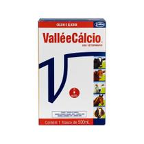 ValléeCálcio Com Glicose 500mL Vallée - MSD
