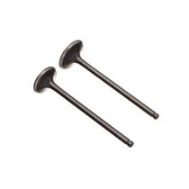 Valvula adm/esc. (par) ww3 ybr 125 inj. 17/