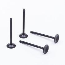 Valvula Admissao Clio Kangoo Twingo TAKAO VESRE11 Valvula Admissao Clio Kangoo Twingo TAKAO VESRE11