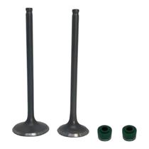 Valvula Admissao E Escap Cg Titan 125 2002/2008 Ww3 Par