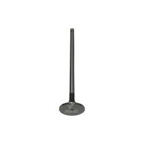 Valvula Admissão Para Iveco Cursor10/Ford - 500355776 Valvula Admissão Para Iveco Cursor10/Ford - 500355776