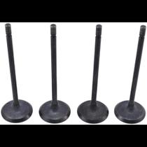 Válvula admissão Renault Duster 2011 a 2020 Metal Leve