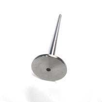 Valvula admissao volvo fh-13 d13a ks imp **volvo fh-13 teto