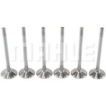 Válvula admissão Vw 31-260 2004 a 2011 Metal Leve VA0210153 Válvula admissão Vw 31-260 2004 a 2011 Metal Leve VA0210153