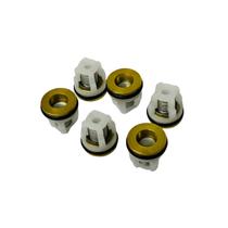 Válvula Completa (JG C/6) P/ Hidrolavadora BFG 3000 Pro 5599