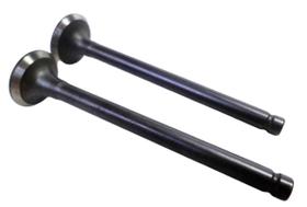 Válvula De Admissão E Escape Par Hype 50 Jonny Válvula De Admissão E Escape Par Hype 50 Jonny