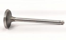 Válvula de admissão (perkins 4203 injeção direta)