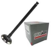 Valvula de Escape - Factor 125i de 2017 até 2024