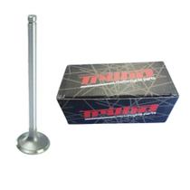 Valvula de Escape Zincada - Titan 125 - XLR 125 - Today 125