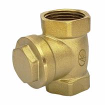 Valvula de Retenção Horizontal c/ Portinhola - 1" FxF