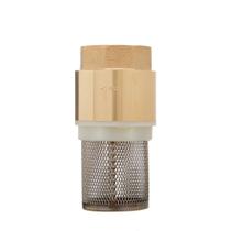Válvula de Retenção Para Fundo de Poço Com Tela 1 pol H2Alle Válvula de Retenção Para Fundo de Poço Com Tela 1 pol H2Alle