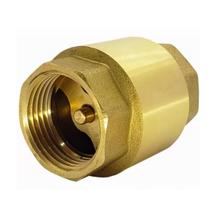 Valvula De Retenção Vertical 1 Polegada Com Mola Sede Metal