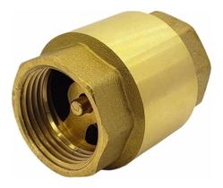 Válvula De Retenção Vertical 1 Polegada