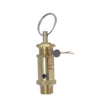 Válvula de Segurança 125 Psi 1/4" Grande Válvula de Segurança 125 Psi 1/4" Grande