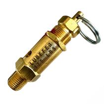 Válvula De Segurança E Alívio Grande 1/4 175 Libras Lubefer