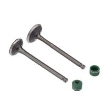 Valvula E Retentor Kit (4pcs) Ww3 Biz 125 05/