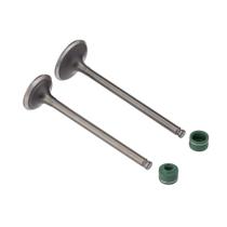 Valvula E Retentor Kit (4pcs) Ww3 Cg 125 09/18