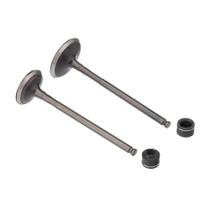 Valvula E Retentor Kit (4pcs) Ww3 Fazer 150 14/ Crosser 150 Valvula E Retentor Kit (4pcs) Ww3 Fazer 150 14/ Crosser 150