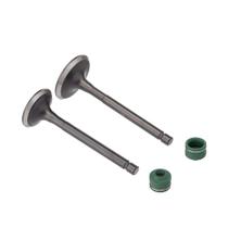 Valvula E Retentor Kit (4pcs) Ww3 Ybr 125 00/ - Xtz 125 03/ Valvula E Retentor Kit (4pcs) Ww3 Ybr 125 00/ - Xtz 125 03/
