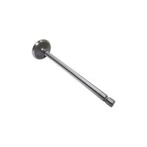 Valvula escapameto cabecote motor - tector/vertis 4895051