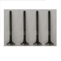 VALVULA ESCAPE (JG C/4UND) para FIESTA 1.4 16V1996/1999 COU