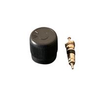 Válvula flauta Sistema DO Combustível Corsa 1.6 1.0 1.4