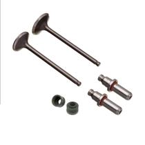 Valvula Guia E Retentor Kit (6pcs) Ww3 Cbx 200