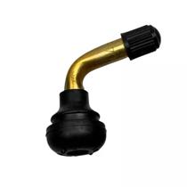 Válvula para Pneus sem Câmara Scooter FNT-1138 Fiontar