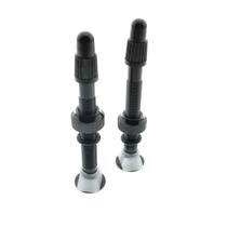 Válvula Presta Tubeless Absolute 48mm Núcleo Removível