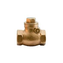 Valvula Retenção Horizontal Com Portinhola 1 1/4 - Metrox