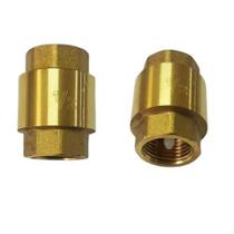 Válvula Retenção Vertical 1/2 Pistão Nylon 203 - 19104