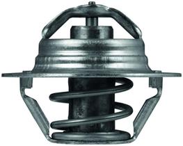 Válvula Termostática Duster 2011 a 2020 Mahle TX 100 89D