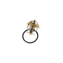 Valvula Termostatica Motor 80C Sem Reparo 425680 Wahler