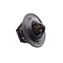VALVULA TERMOSTATICA para MWM SPRINT 4.7/4.8 F250 6 CILS VW