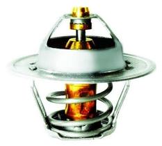 Válvula termostática(refil)gol 1.0/1.6 cht gasolina todos