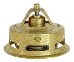 Válvula Termostática Serie Ouro Scania 75 1978 1979 1980 - VT255.75