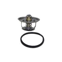 Valvula Termostatica T112 R112 T113 R113 71 Graus 524942