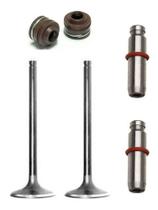 Válvulas Admissão Escape Guias Titan 150 Fan Bros 150 Nqk