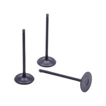 Válvulas Admissão Toyota Camry 3.5 V6 24v 06/... 2grfe