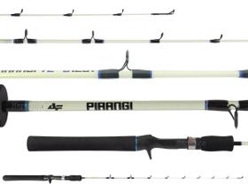 Vara Para Carretilha Albatroz Pirangi TL 5'6" (1,65m) 8-15Lbs C1651 - Inteiriça