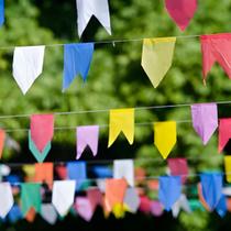 Varal 10 Metros Bandeirinha Colorida de Plástico Decoração Para Festa Junina