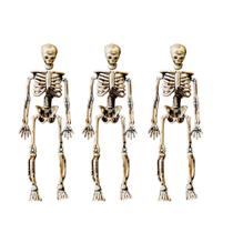 Varal Esqueleto Halloween 8pc 6m - Plástico Resistente