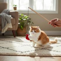 Varinha Interativa Para Gatos Com Som Brinquedo Pet