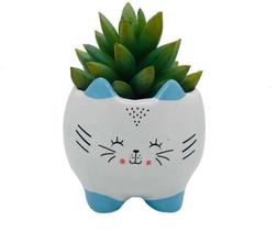 Vasinho Cachepot Gato Azul Suculenta - Decore Casa