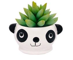 Vasinho Cachepot Panda Pires Suculenta - Decore Casa