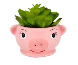 Vasinho Cachepot Porco Pires Suculenta Vasinho Cachepot Porco Pires Suculenta