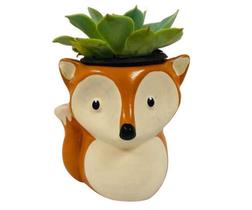 Vasinho Cachepot Raposa Raposinha Suculenta - Decore Casa