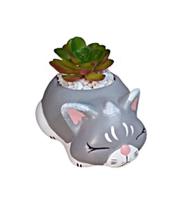 Vasinho De Cerâmica Gato Dormindo Cor Cinza Para Suculenta - Decore Casa Vasinho De Cerâmica Gato Dormindo Cor Cinza Para Suculenta - Decore Casa